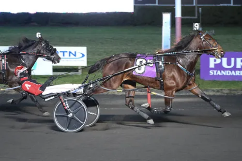 Queen Of Success 12-16-23