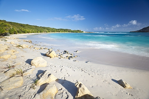 Sandy Caribbean beach and ocean