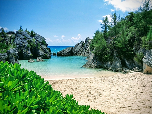 Tropical beach with cove
