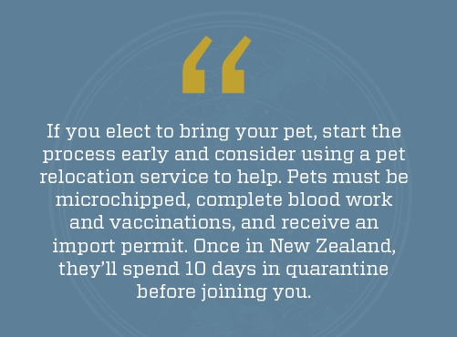 tips for physicians who may want to bring their pet on a NZ locums assignment