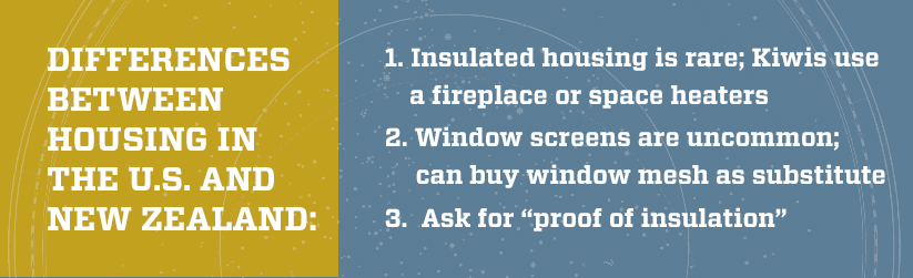 Infographic: housing differences US and NZ