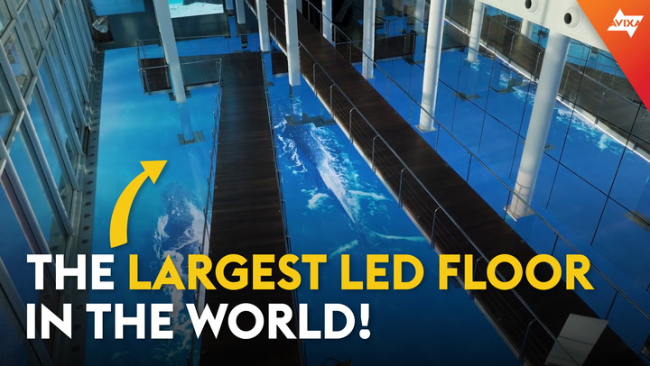 Barcelona's Aquarium has one of the biggest LED floors in the world!