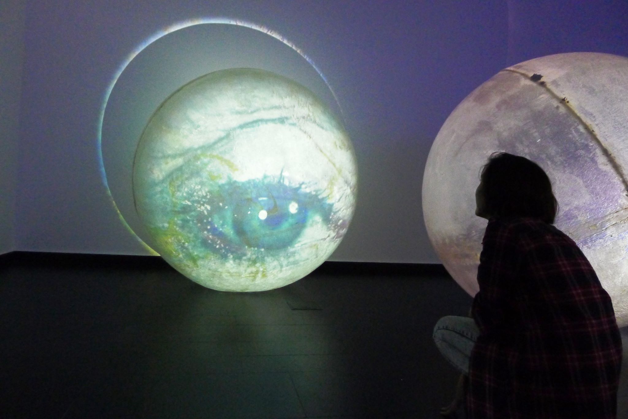 exibit of a projected eye