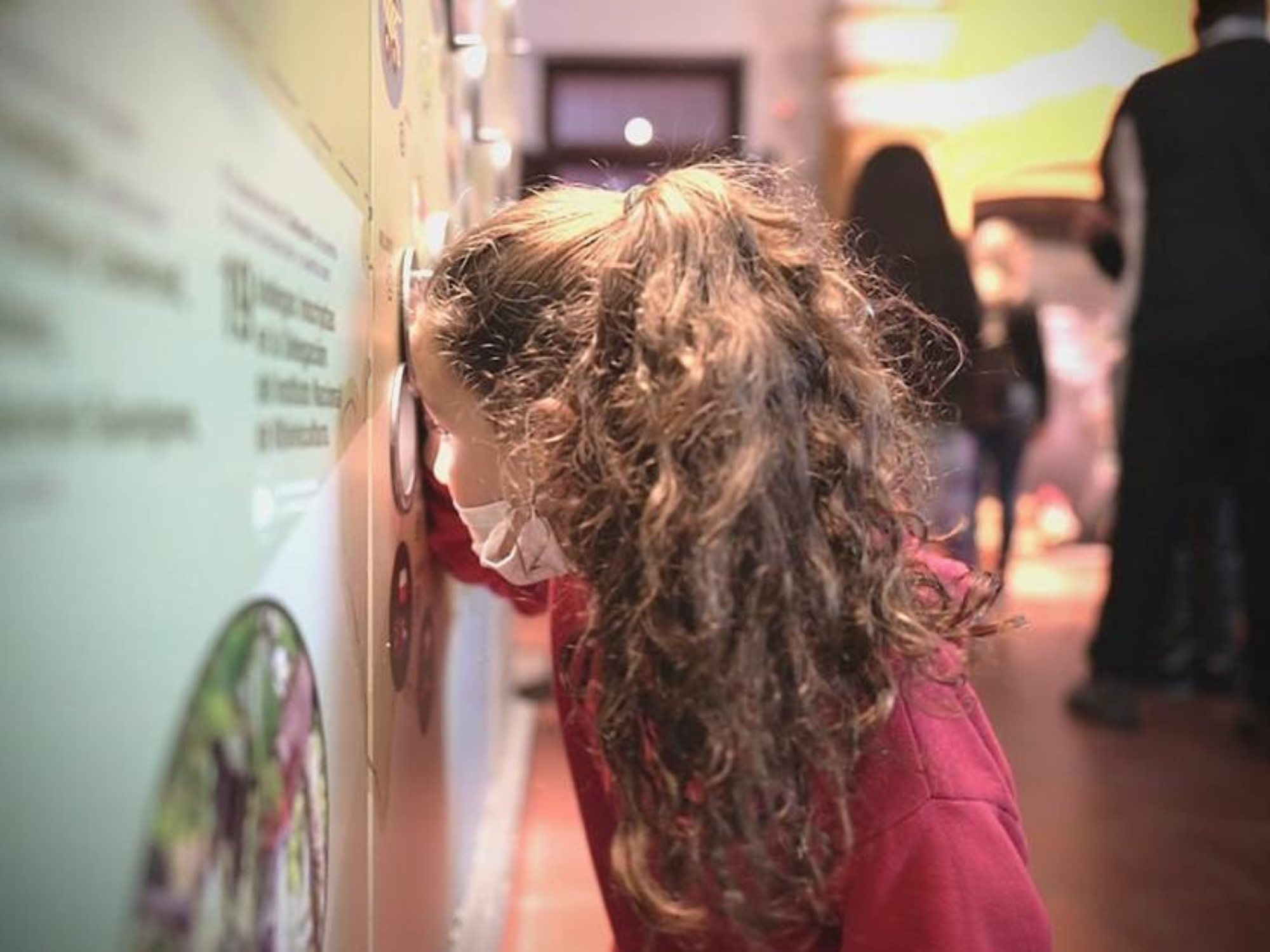 Del Museo Contemplativo al Museo Interactivo