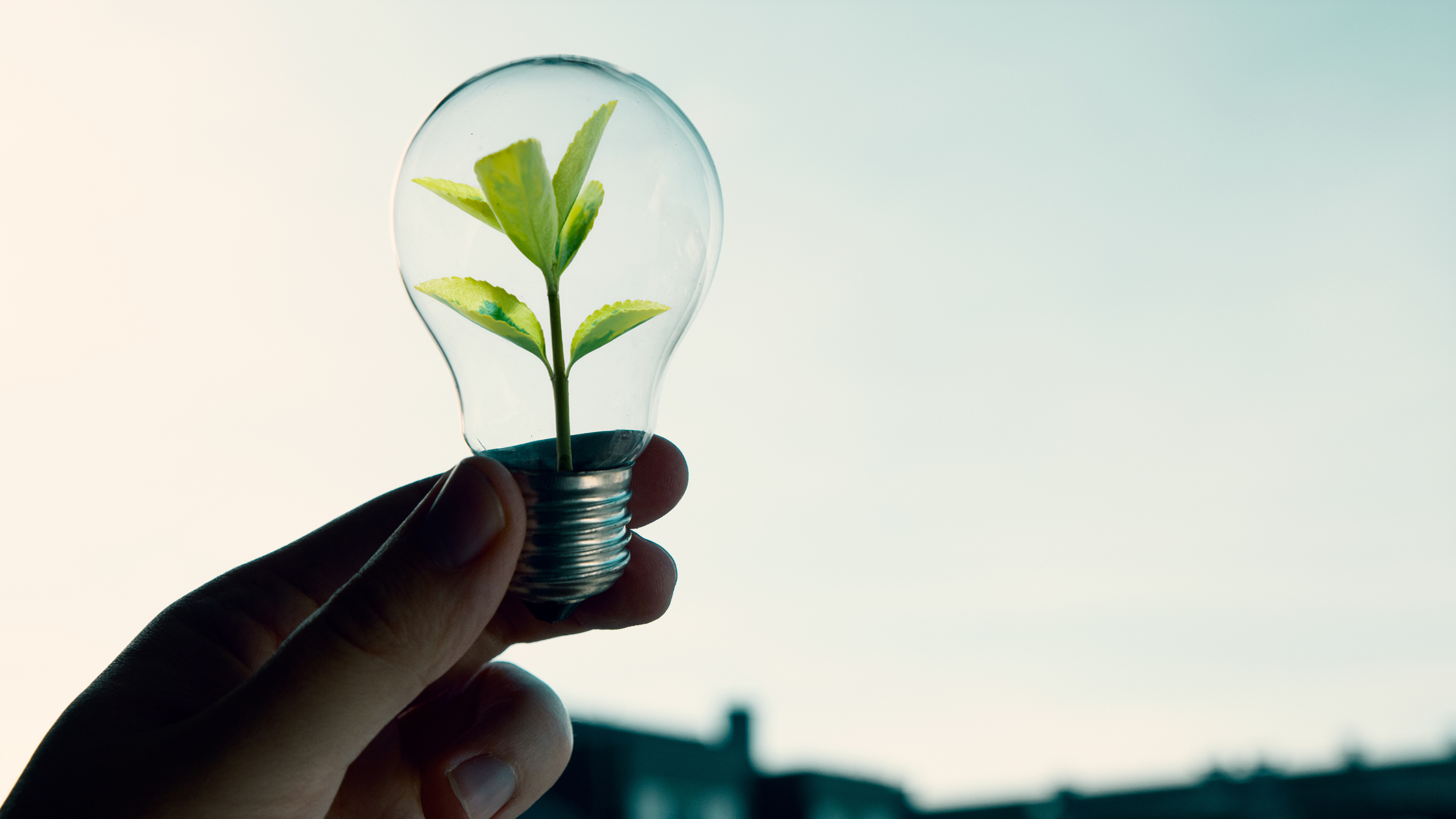 ¿Cómo integrar la sostenibilidad en AV sin resignar innovación?