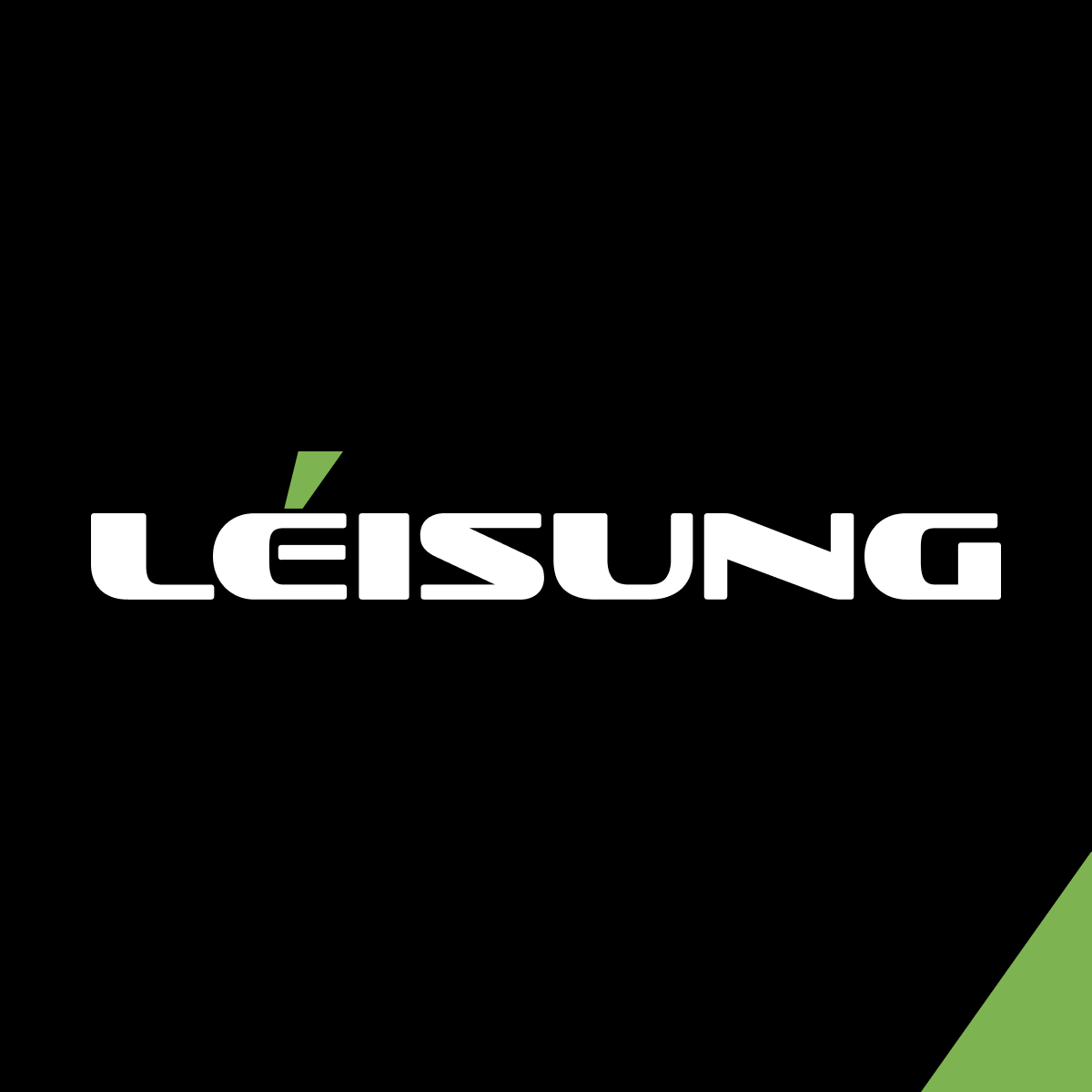 Leisung Technologies