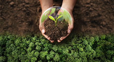 Sustainability Calculator: The ROI of Sustainable AV Design