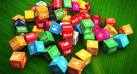 Dice of differnet logos