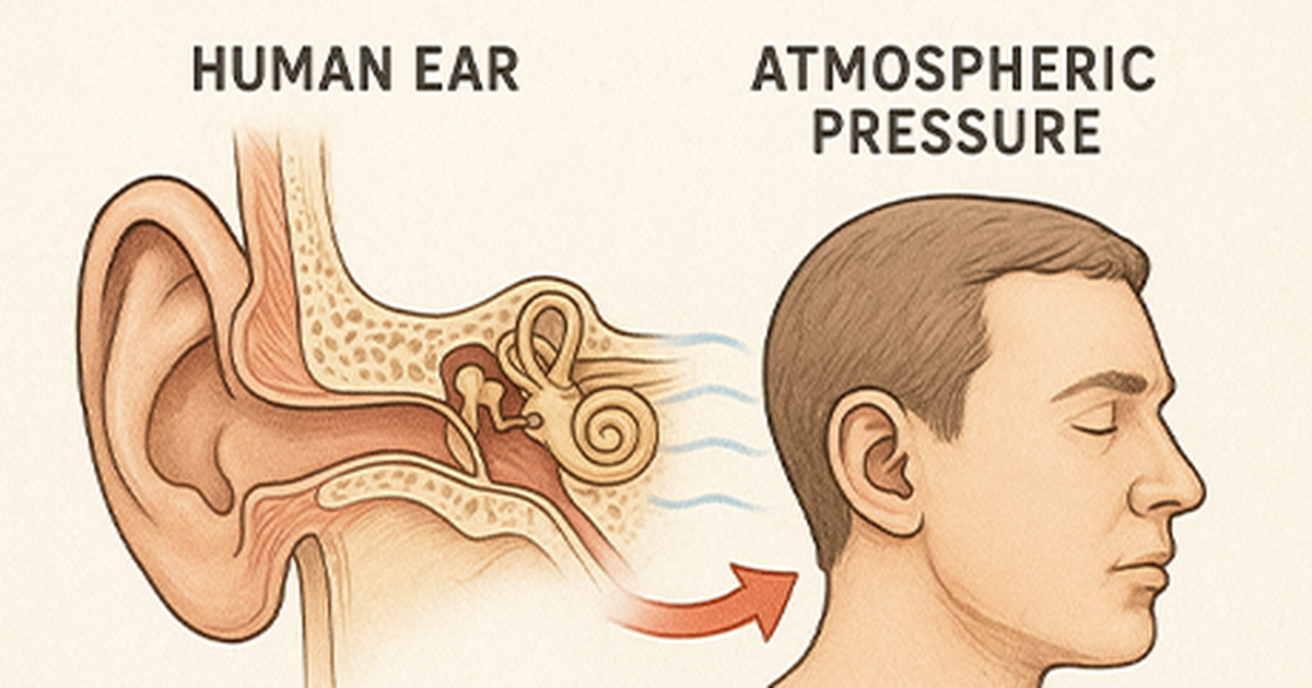 Ear Rape Effect Human Ear behavior and Atmospheric Pressure effects | AVIXA