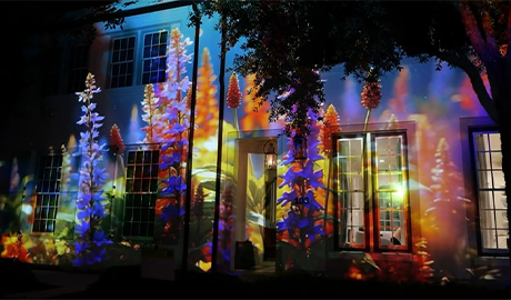 A Canvas of Light: How Panasonic Projectors Illuminated Alys Beach at the Digital Graffiti Festival