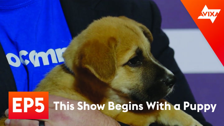 Episode 5: This Show Begins with a Puppy