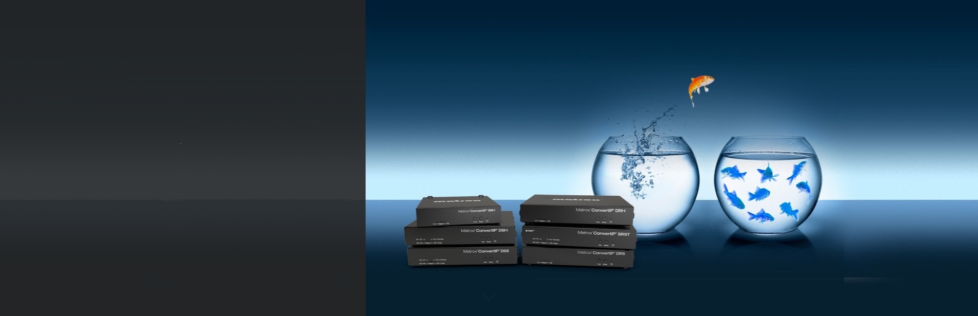 IPMX: the new wings beneath HDBaseT