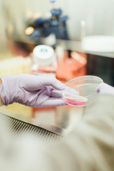 2025 New York Life Sciences & Biotech Summit