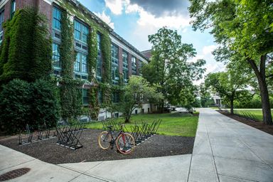 New York Higher Education