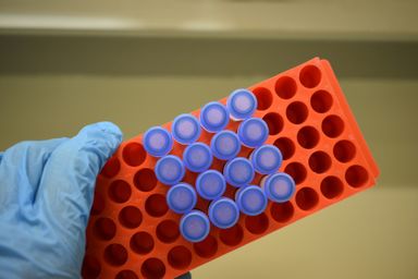 UK Life Sciences And Healthcare Summit 2026