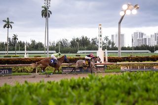 Challenges For Gulfstream Park: Retail Closings, Family Feud, Horse Deaths