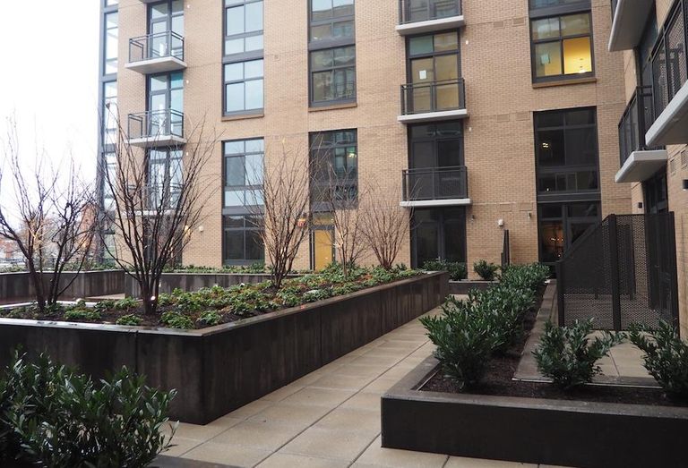 The Apollo Courtyard