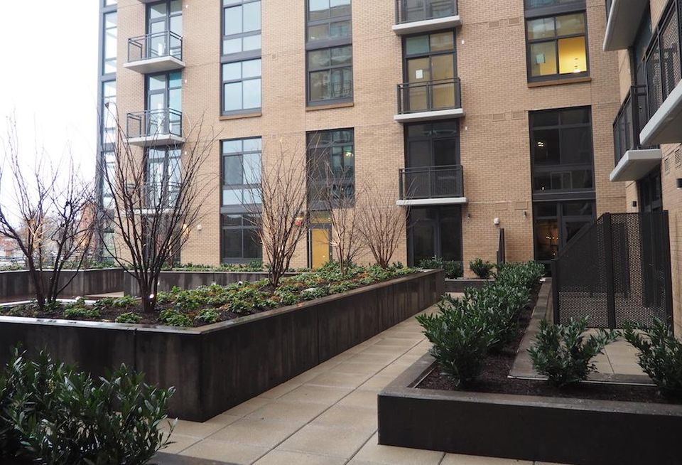 The Apollo Courtyard