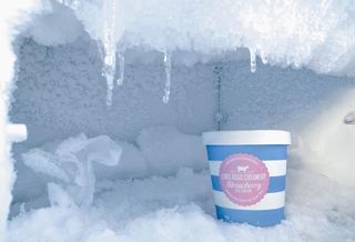 freezer cold storage ice cream