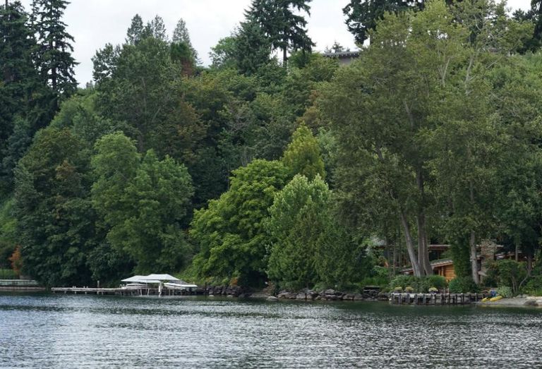 Lake Washington