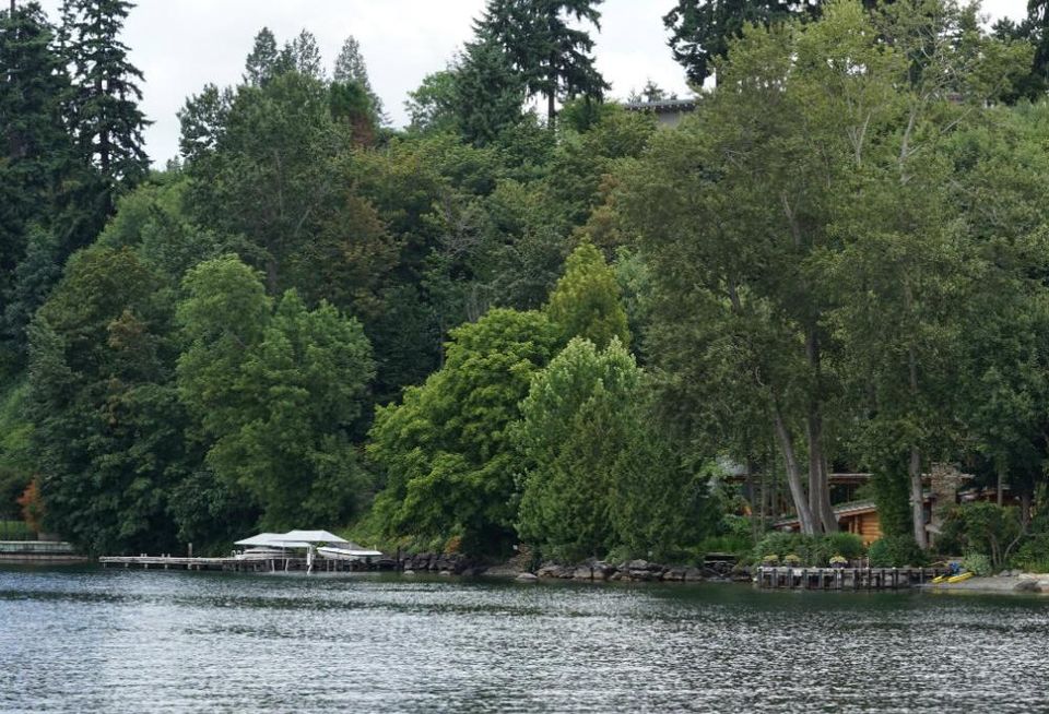 Lake Washington