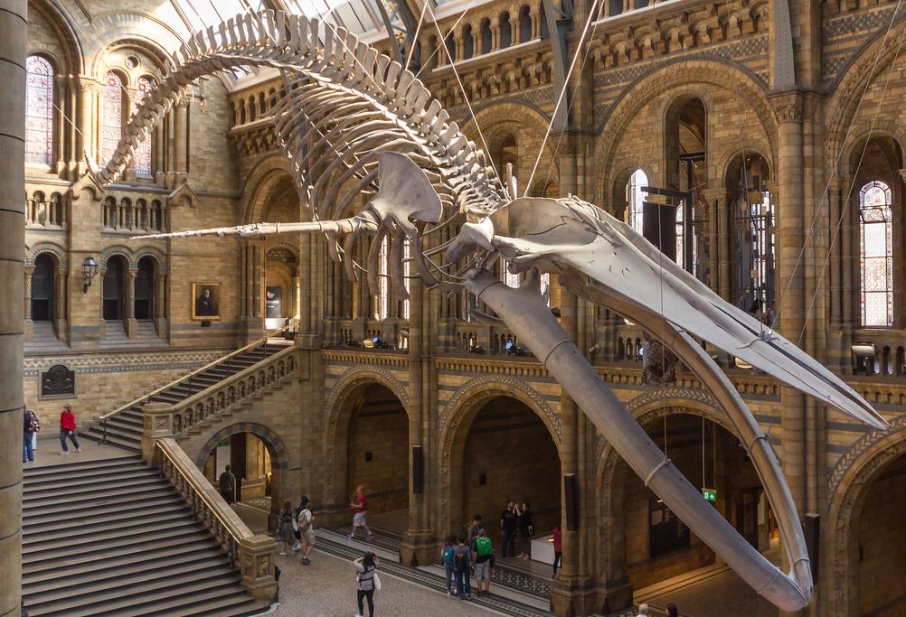 Now Museums Are Taking Space In Fast-Growing Life Sciences Sector
