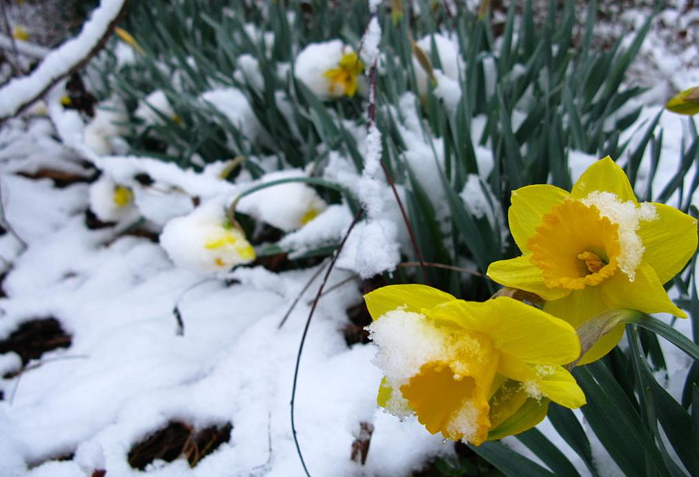 Snow In April: Birmingham's Unseasonal Office Market