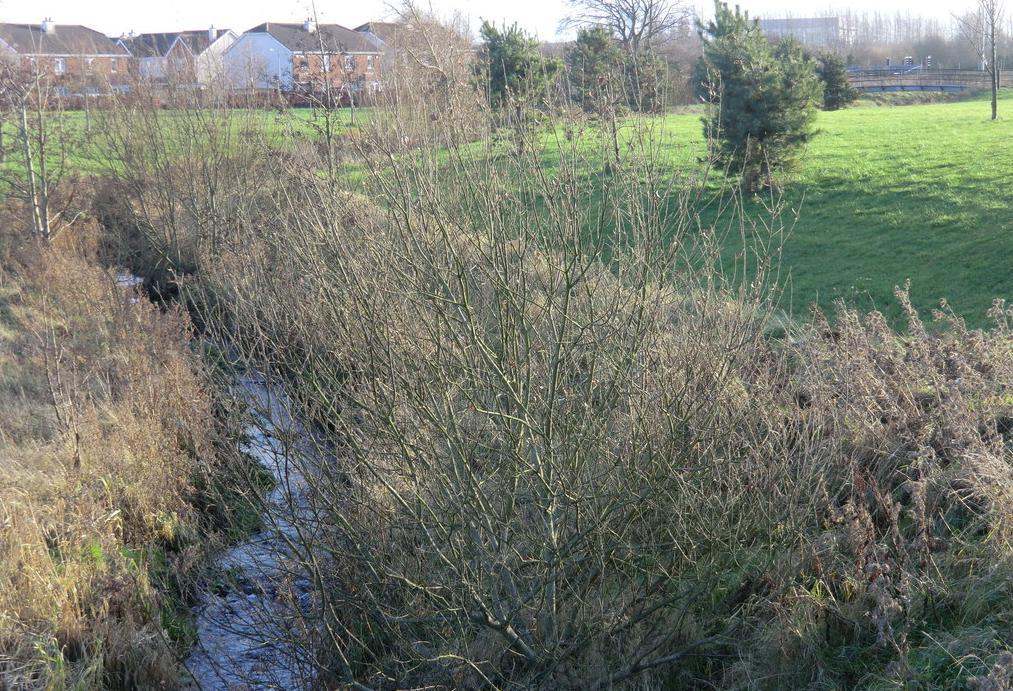 The Kilmahuddrick Stream tributary of the Griffeen River meanders through the southeastern part of the Griffeen Valley Park as it heads for its confluence. It has come past Grand Canal and western railway line, from the Kilmahuddrick and Clonburris areas Dublin new town