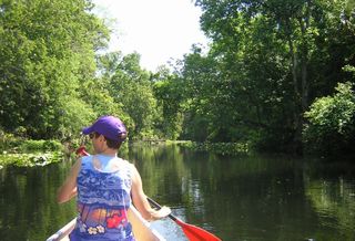Rivers And Creeks Are Plaintiffs In Rights Of Nature Lawsuit That Could Foil 1,900-Acre Development