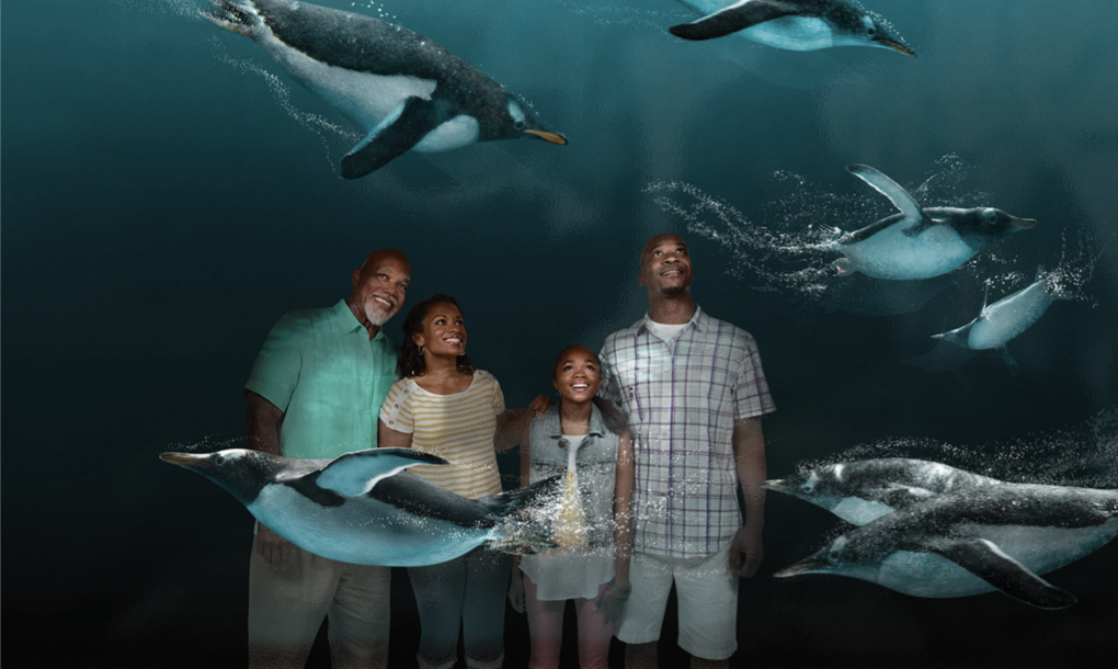 Sea World Could Add 13 Theme Parks In $3.4B Bid To Buy Cedar Fair 
