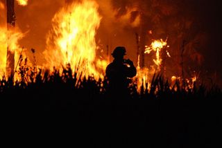 NorCal's Kincade Fire By The Numbers