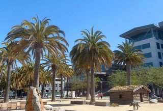 Fast-Growing Food/Tech Startup Moves To Jack London Square