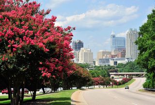 For This Southeast Brokerage, Being The Underdog Has Its Benefits
