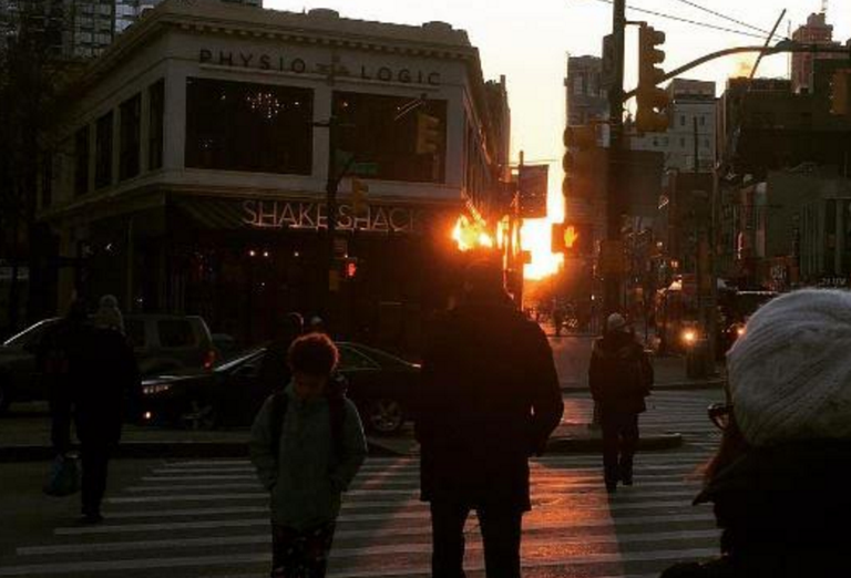 Shake Shack Sunrise
