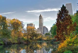 Central Park