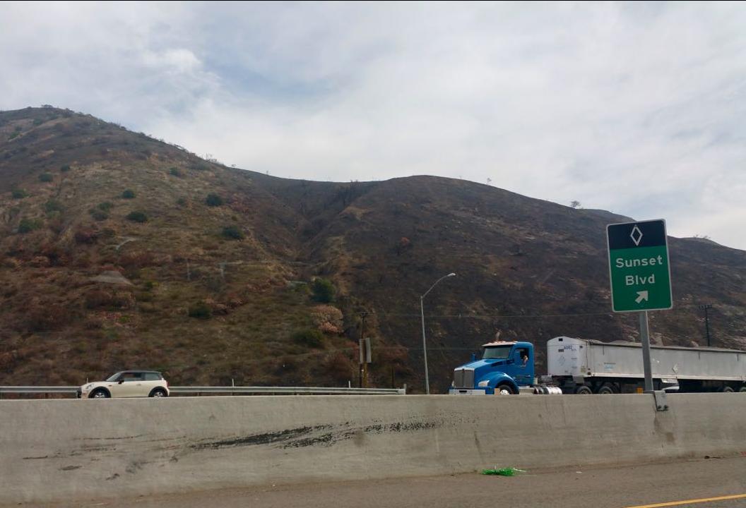 The remains of the Skirball fire in West Los Angeles. The Skirball fire was one of many wildfires that erupted in Southern California in December. 