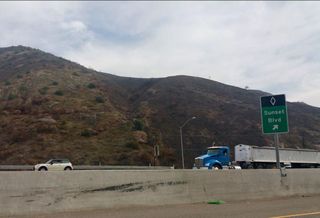 The remains of the Skirball fire in West Los Angeles. The Skirball fire was one of many wildfires that erupted in Southern California in December. 