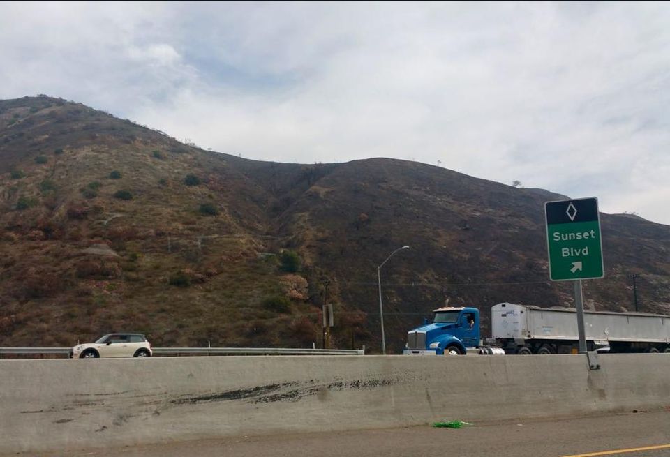 The remains of the Skirball fire in West Los Angeles. The Skirball fire was one of many wildfires that erupted in Southern California in December. 