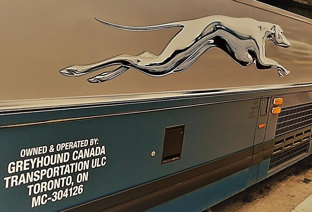 Greyhound bus in Toronto