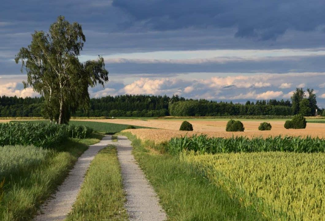 West Mids Green Belt Battle Begins
