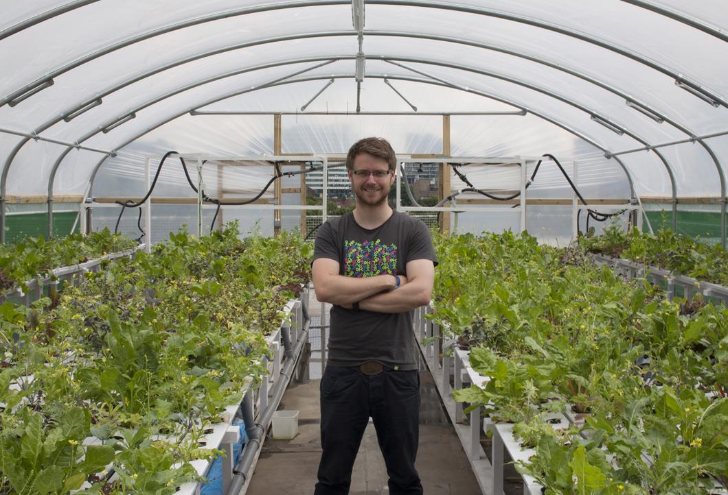 salads vegetables growing roof office acquaponis hydroponics