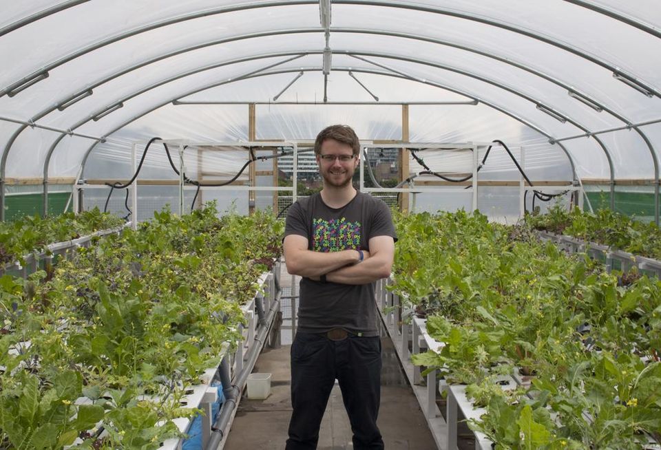 salads vegetables growing roof office acquaponis hydroponics