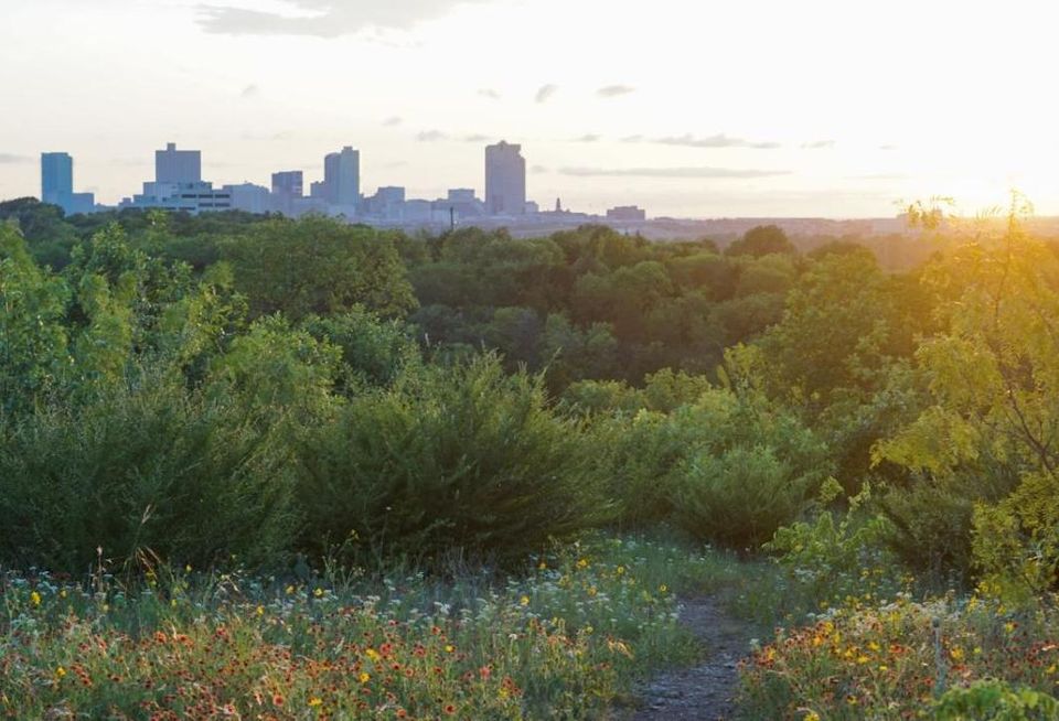 Tree-laden property with Fort Worth's skyline in the distance.