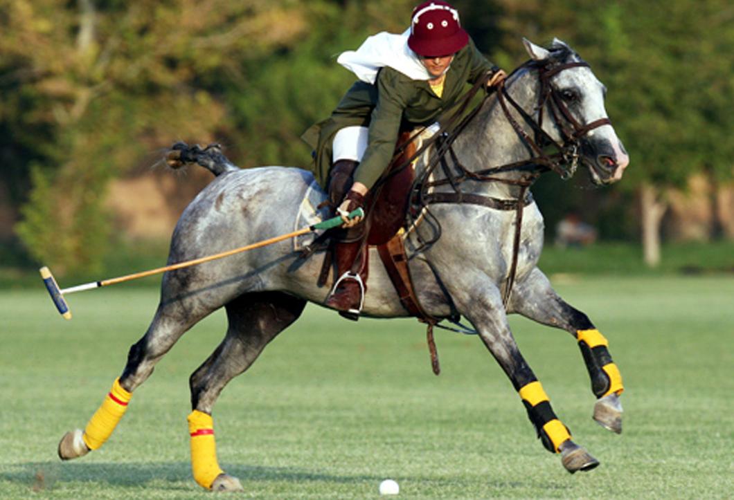 polo player