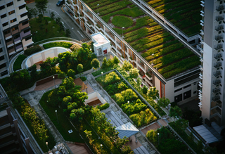 CRE Is Jumping After Sustainable Investment, But Metrics Lag Behind