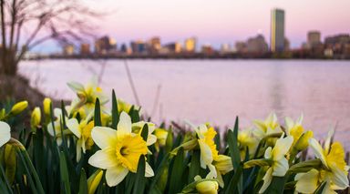 Boston's Hottest Neighborhoods & Submarkets