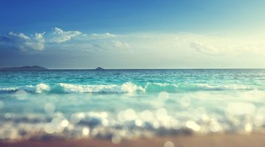 South Florida State of the Market