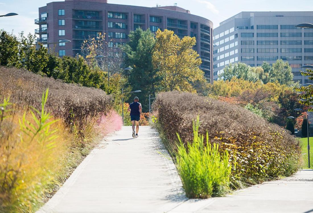 Crystal City Is Getting Greener, Thanks To Investment In Open Space