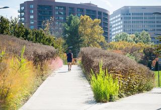 Crystal City Is Getting Greener, Thanks To Investment In Open Space