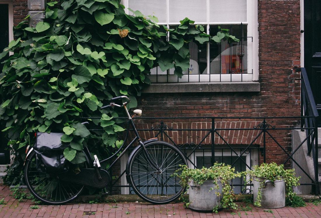 AirBnB